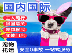 海北祁连航空托运国际宠物托运 【国